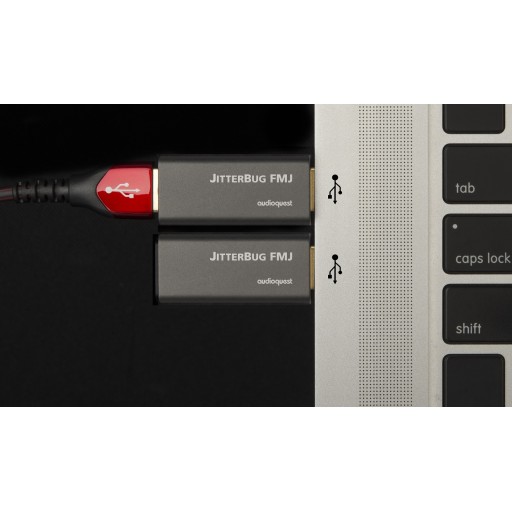 Audioquest JitterBug FMJ
