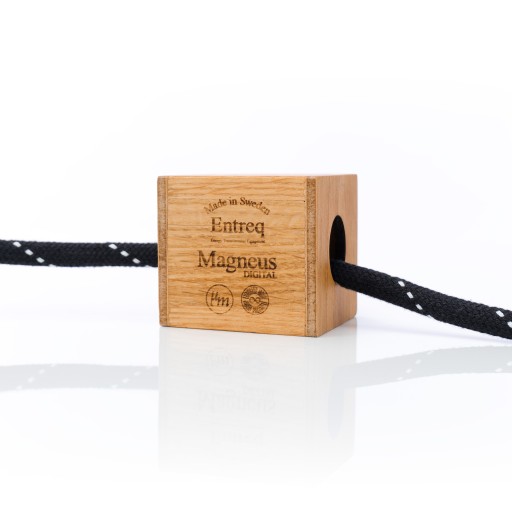 Entreq Magneus Digital EMF Reducer