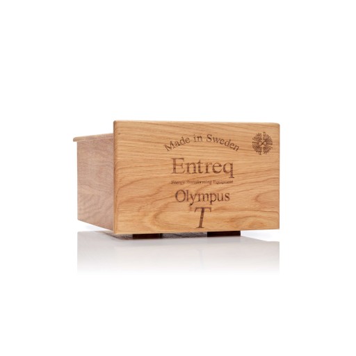 Entreq Olympus Infinity T Ground Box - Ultimate Double Grounding Points