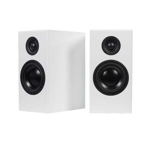 Totem Acoustic Bison Standmount - Pair