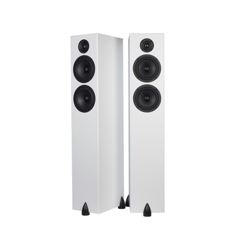 Totem Acoustic Bison Twin Tower Floorstander - Pair